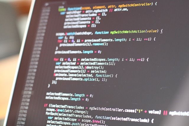 Software house - dlaczego warto zainwestować w profesjonalistów?
