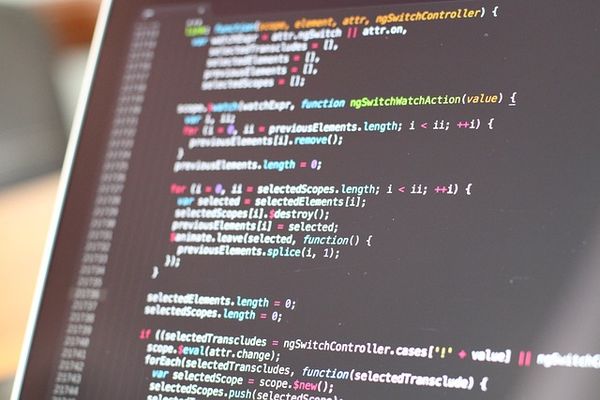 Software house - dlaczego warto zainwestować w profesjonalistów?
